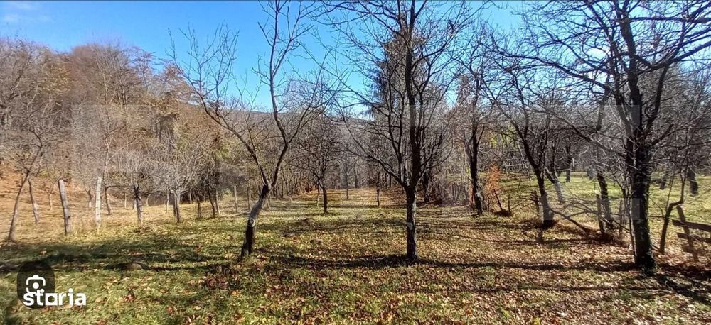 Oportunitate de investitie agricola – Teren extravilan de 29.863 mp