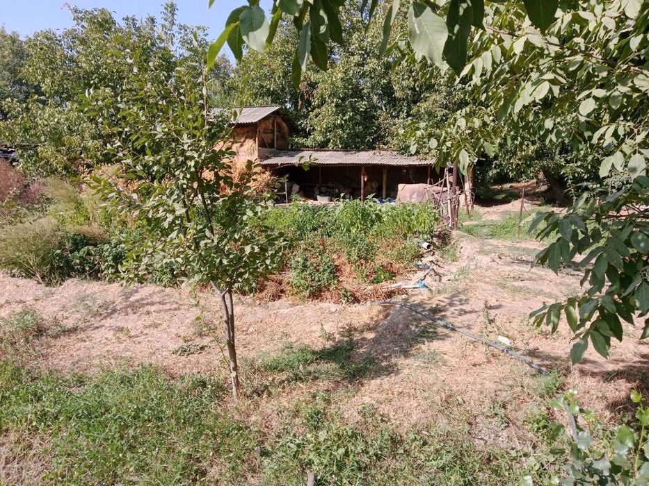 Yer sotiladi 5 sotix