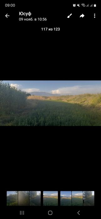 Дача для отдыха и сад