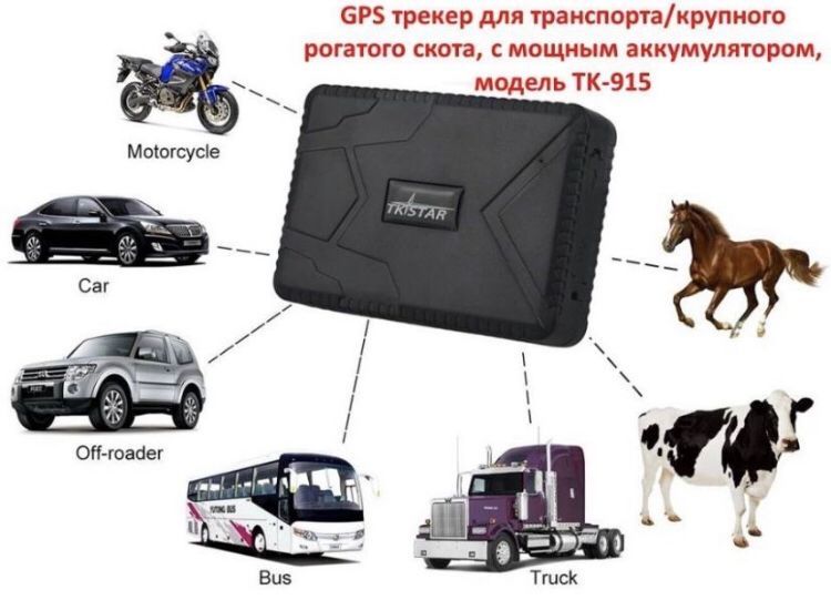 Жылқыға жпс