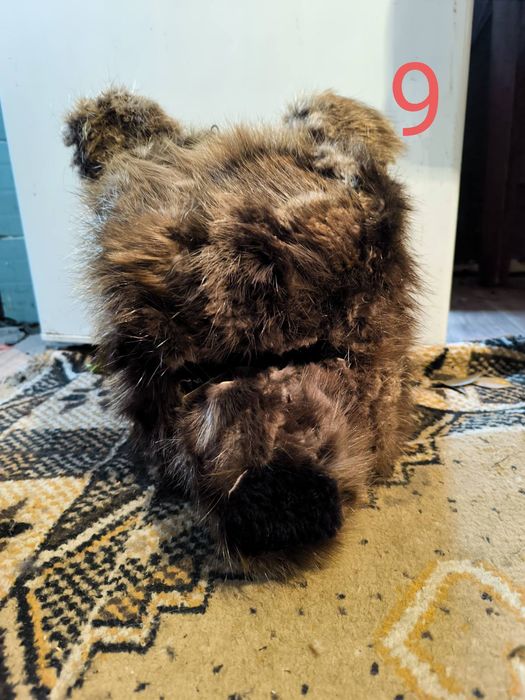 Кукерски маски с рога