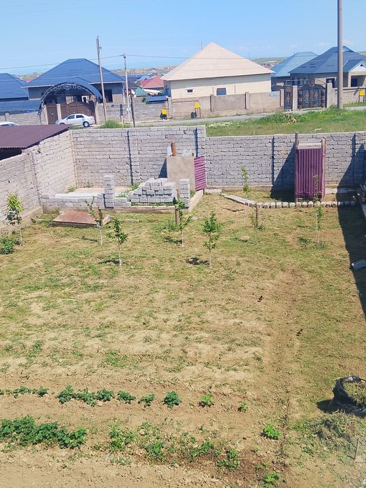 Шөп шабу қызметі | Триммермен тез әрі сапалы