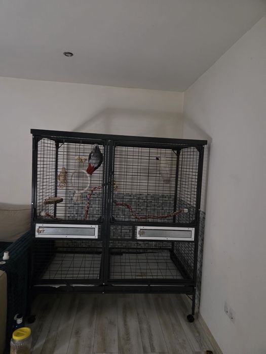 Volieră spațioasă modulară, ideală pentru papagali mari, cu separator