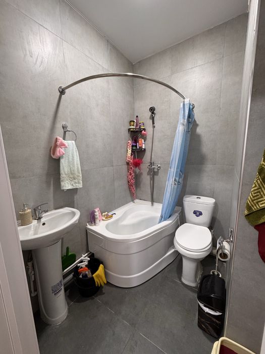 Ищу девочку сожительницу