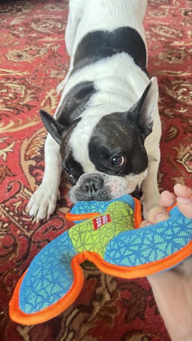 Ищем девочку для нашего красавчика Алматы-Тараз