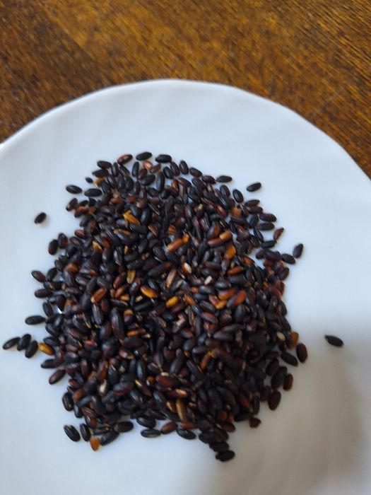 Продаю черный рис