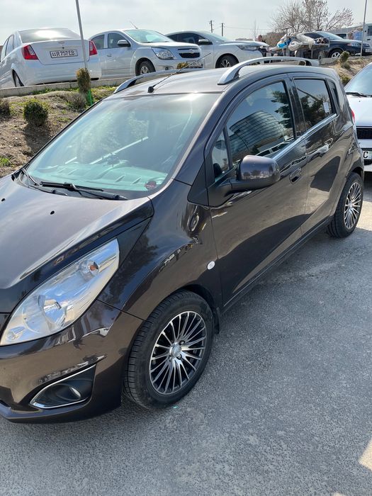 Spark elegance srochna