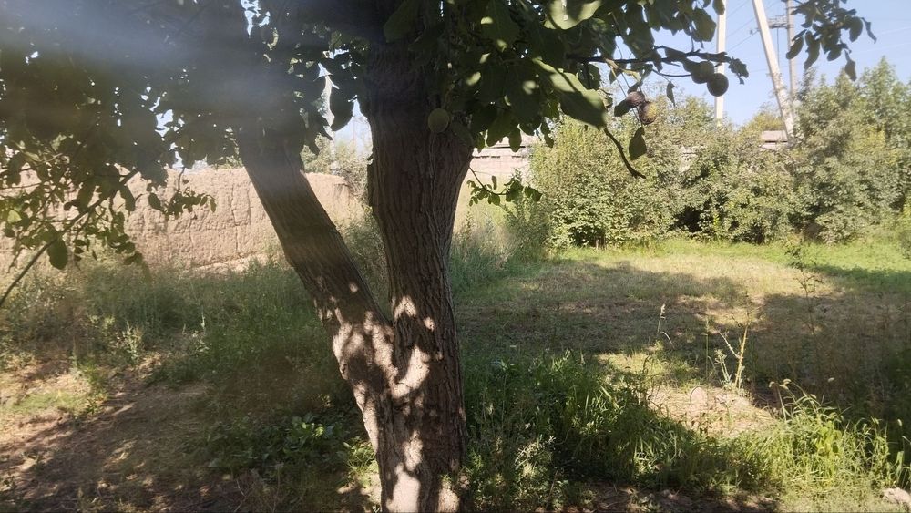Toshkent tumani Novoyi 6 sotok