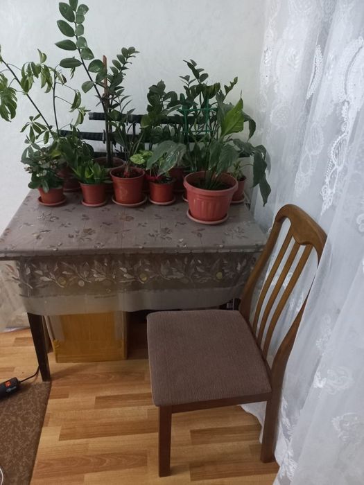 Продам стол со стульями