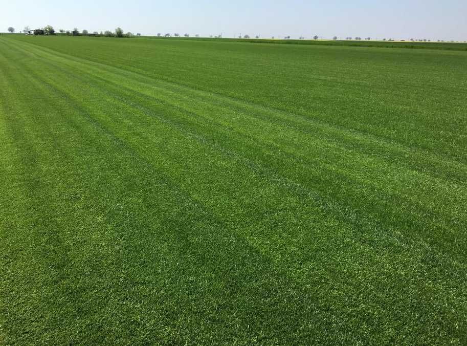 Gazon Rulou Verde - Livrare, Nivelare si Montaj
