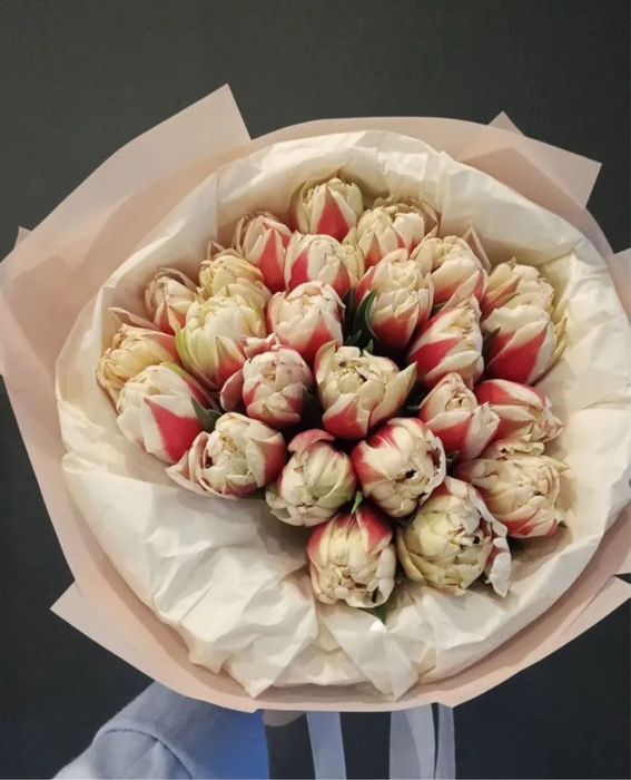 Гул, Гулдер, Кызгалдак