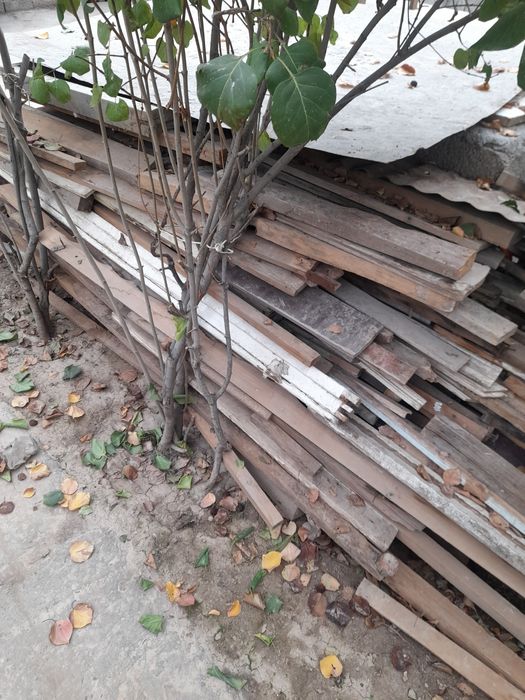 Доски разных диаметров