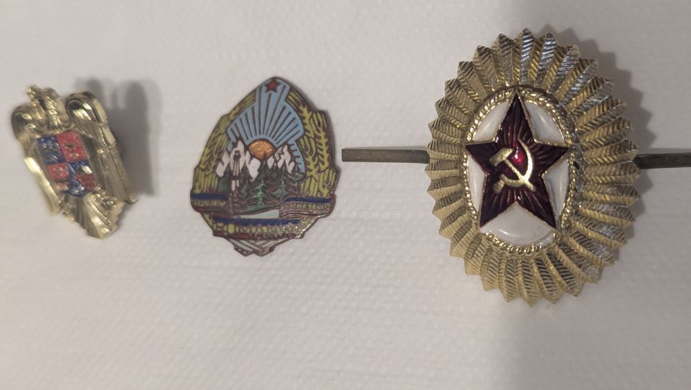 Insigne militare beretă bluzon