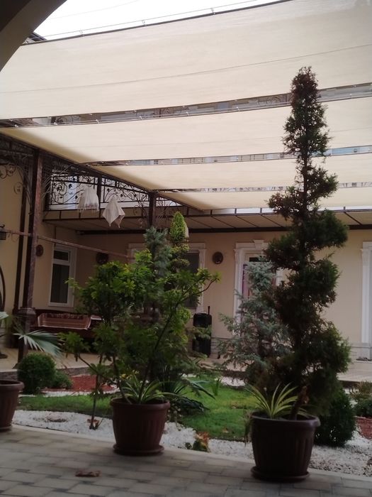 Soya setka quyoshdan himoya