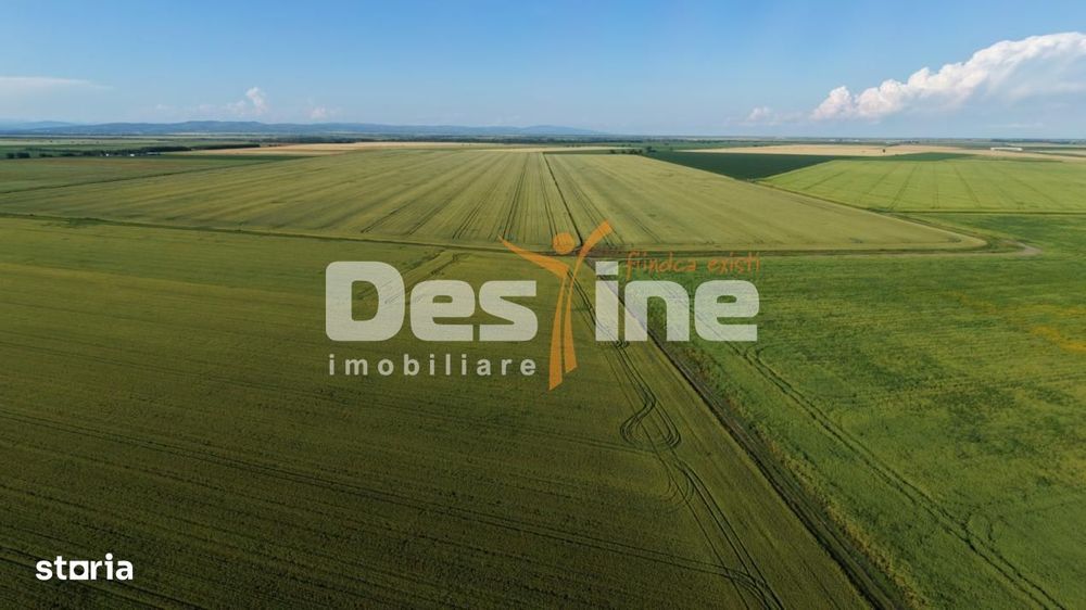 Teren extravilan, neimprejmuit, disponibil imediat, Dumbrava, Prahova