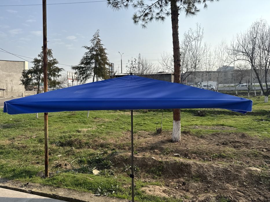 Bir ayoqliy zontiklar