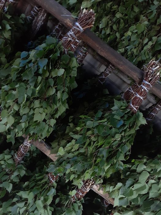 Березовые веники