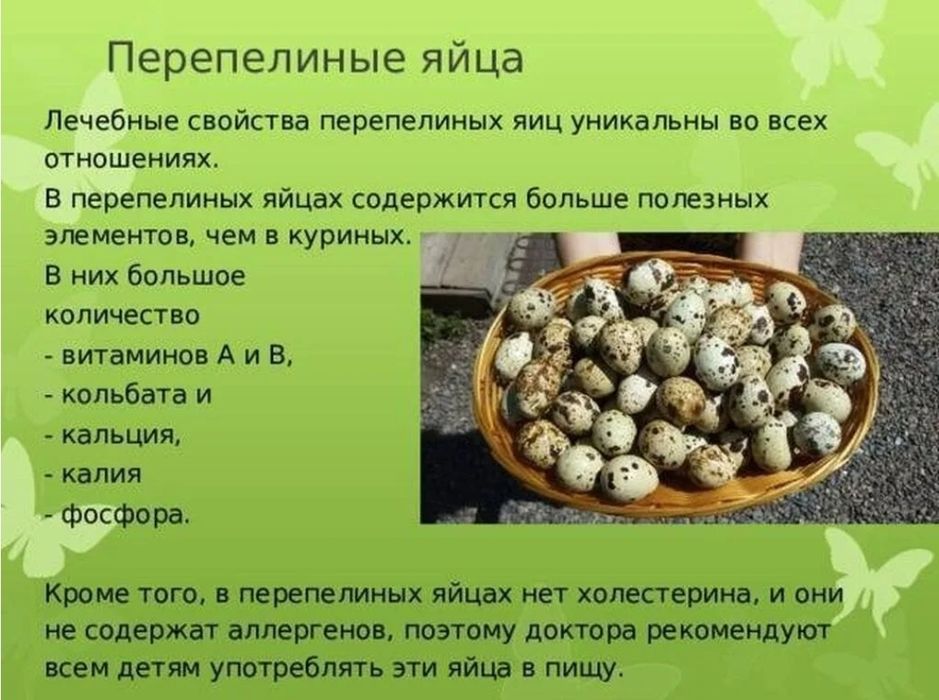 Перепелинное яйцо