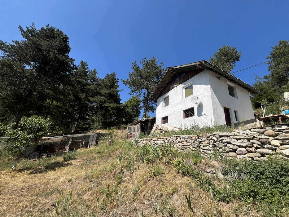 Уютна вила в сърцето на Родопите