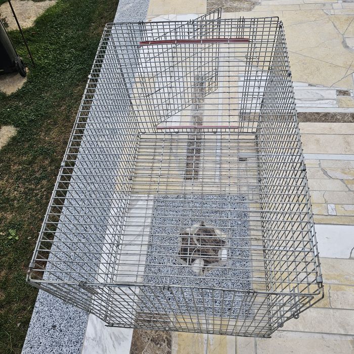 Cuscă pliabilă transport animale