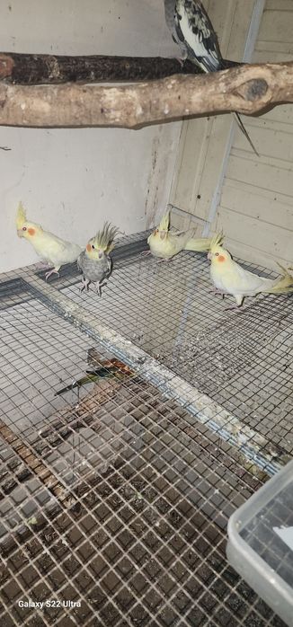 3 ойлик. 110 000