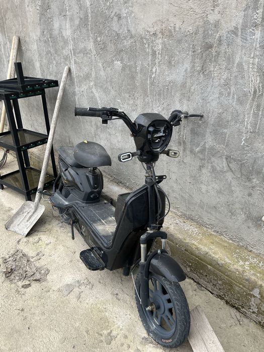 Электра велик сатылады