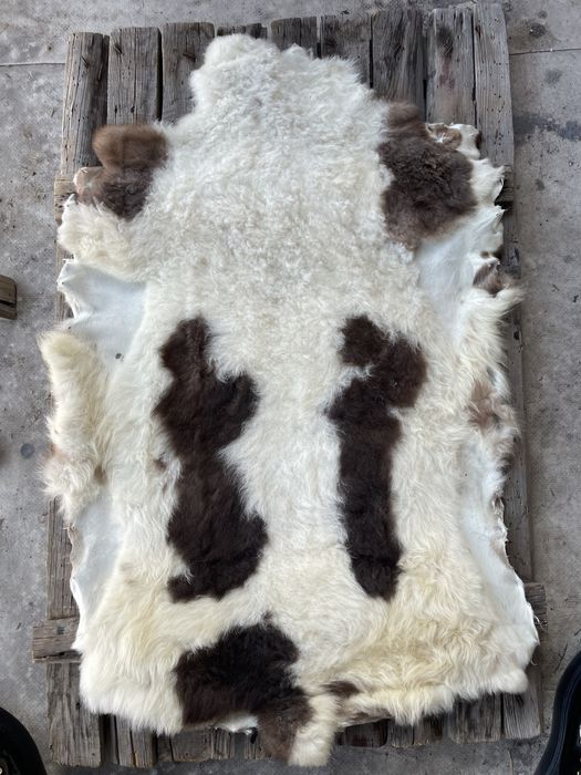 Агнешки кожи обработени топ качество