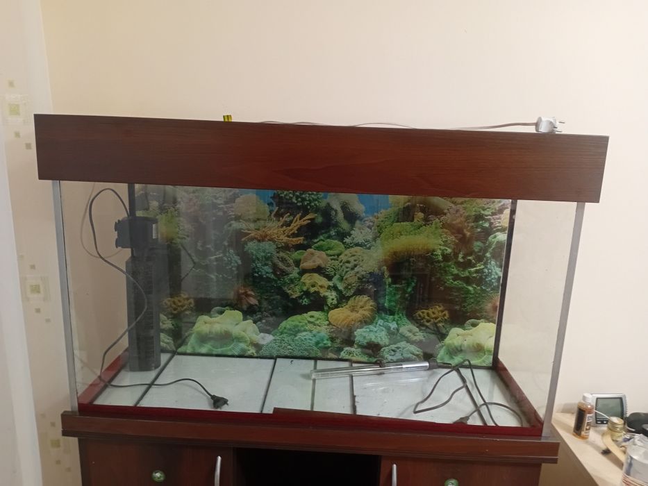 Продам Аквариум с тумбой