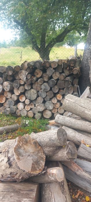 Lemne de foc uscate