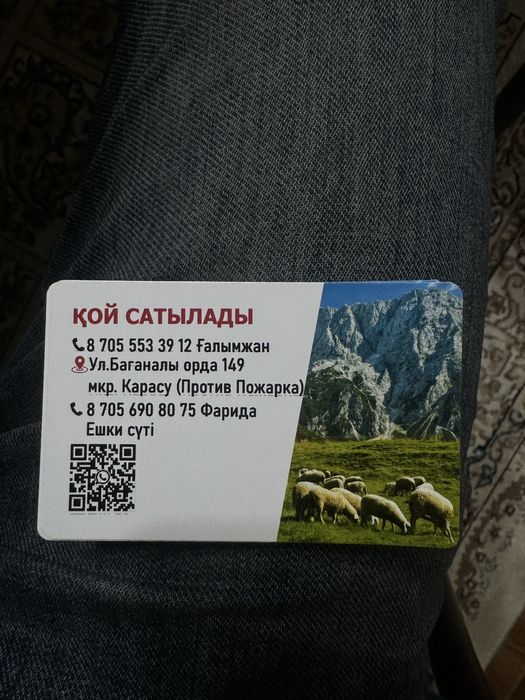 қой токты ешкілер сатылады