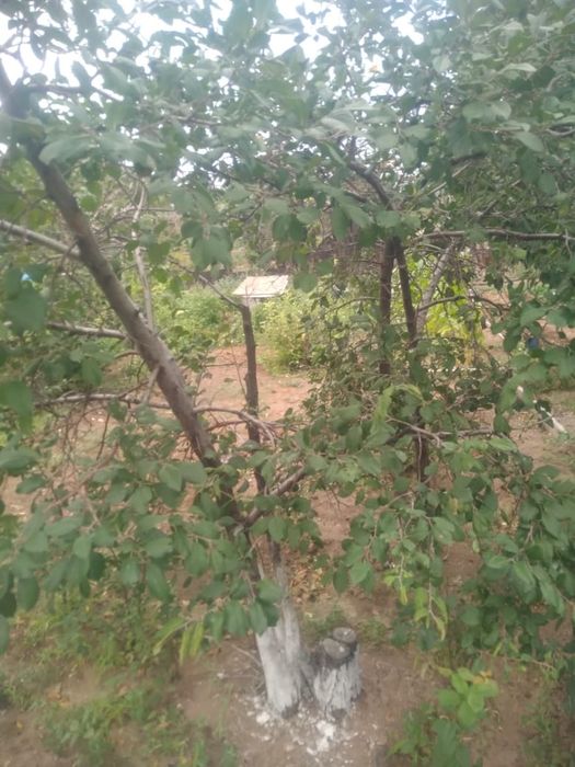 Дача в ТЭЦ 1 в хорошем состоянии