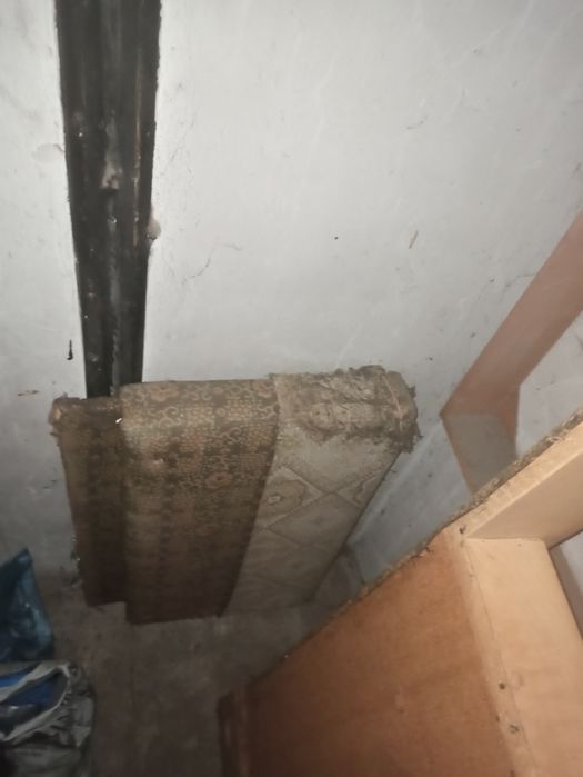 Отдам бесплатно, самовывоз