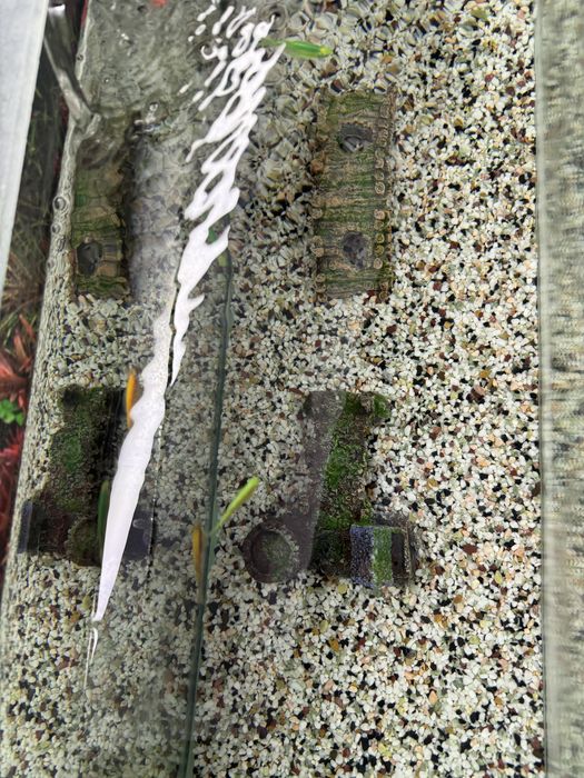 Продам аквариум с рыбками