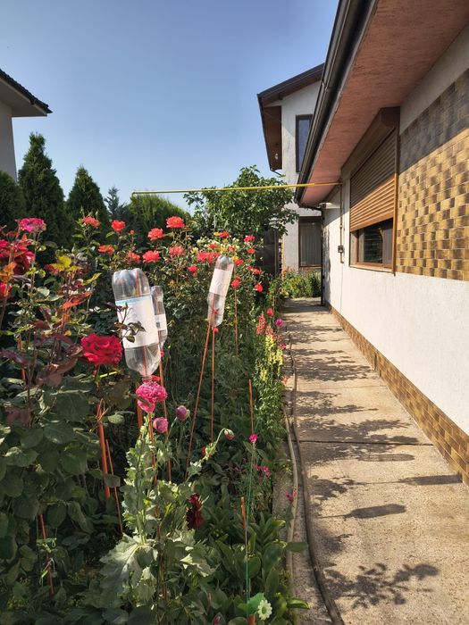 Casa Km 5 Str. Zimbrului