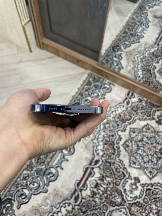 Iphone 13 pro max ideal