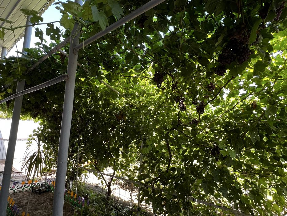 Продается дом в г кызылорда