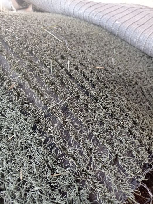 Сунийй газон. Ишлатилган Хитой.