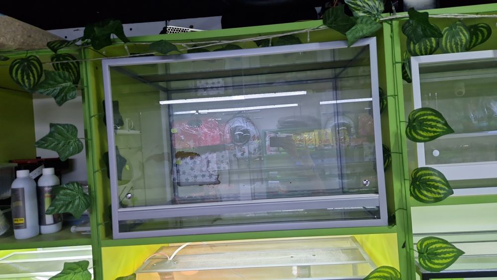 Террариум для рептилий