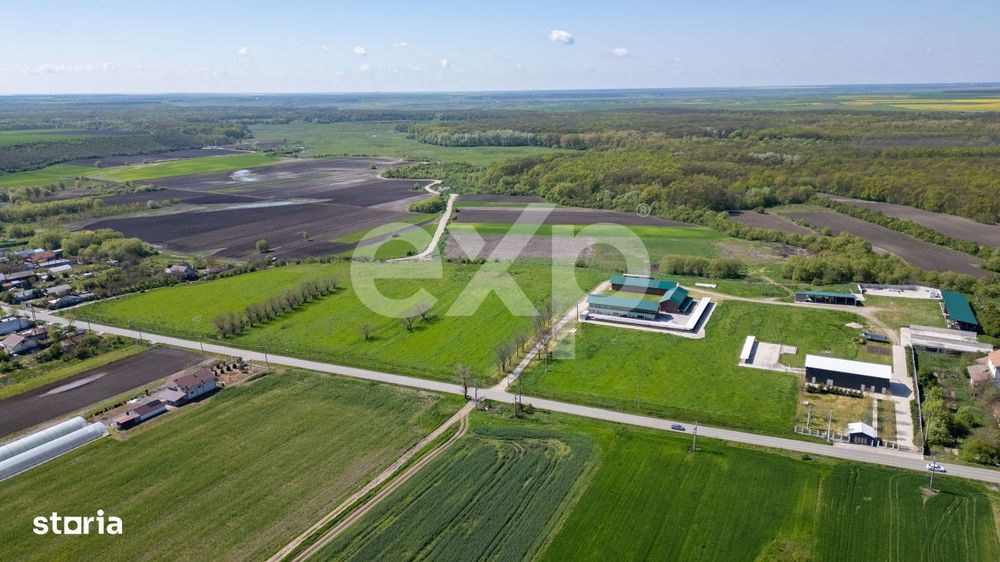 Black Angus Farm with authorized Slaughterhouse