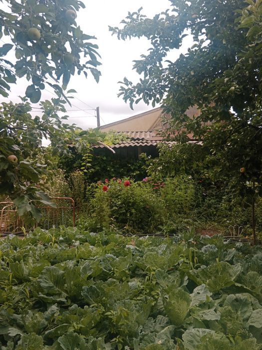 Продам дачу район вишенка 3