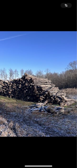 Vand lemne. … USCATE…. amestec de stejar, carpen, maracine, jugastrul.