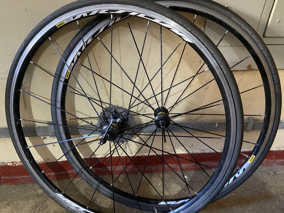 Roti mavic 28 cursiera