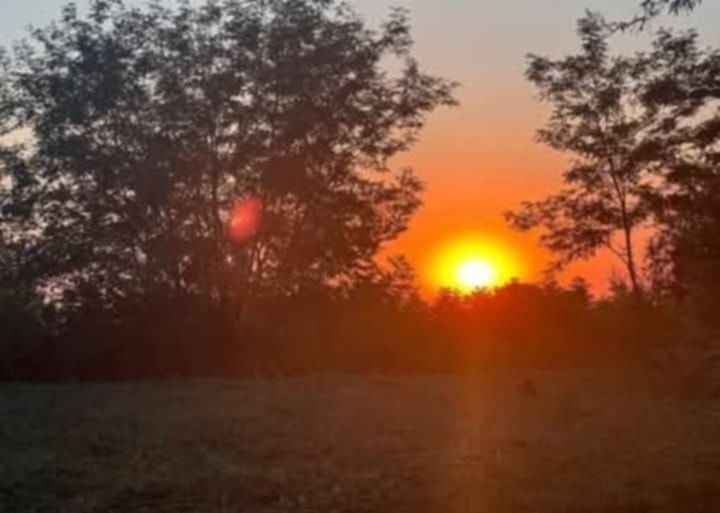 Casa de vanzare Lipanescu Buzău 2500mp