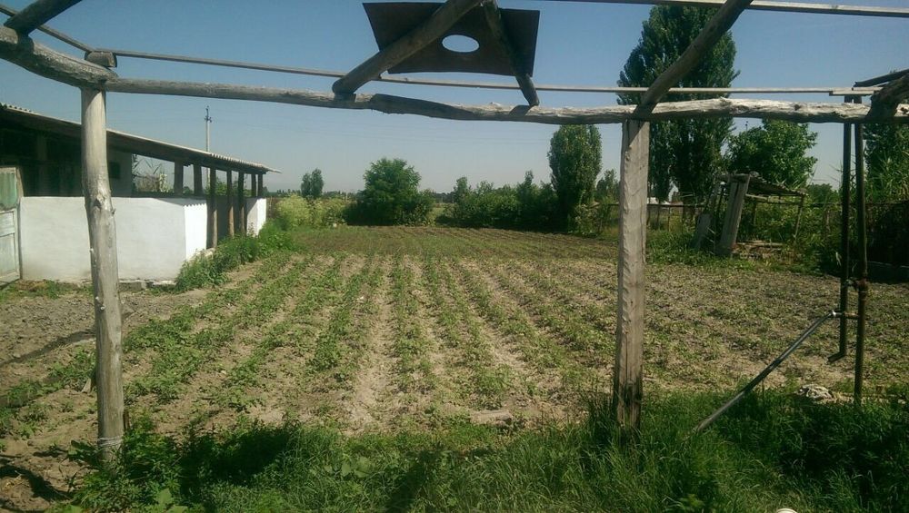 Ховли сотилади. Урта Чирчикда