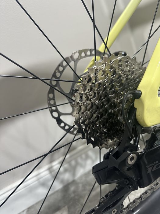 Cursiera Carbon Rose Xlite 04 105 Di2 Advanced 2025