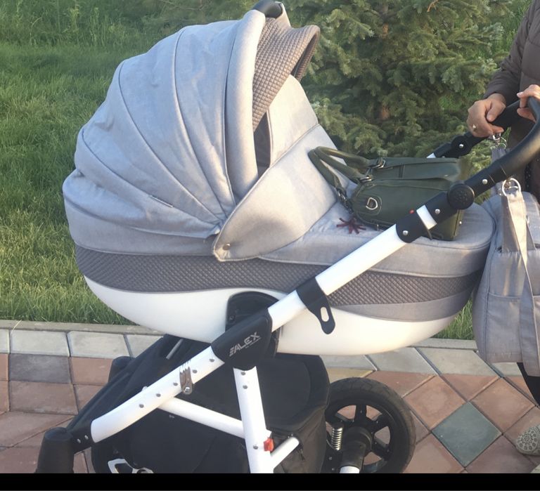 Коляска Adamex Alex