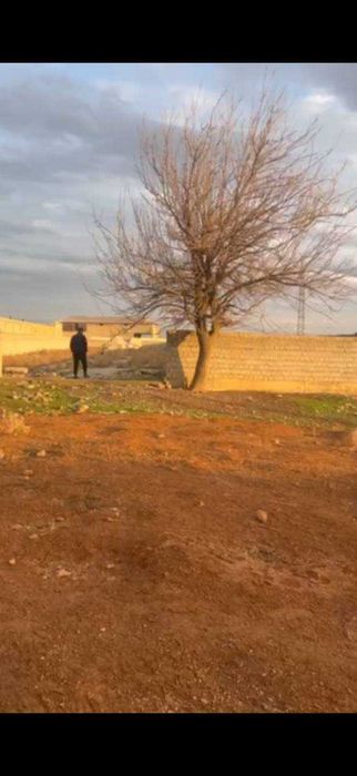 Кибрай Тумани Майскийда Срочно Ер Сотилади