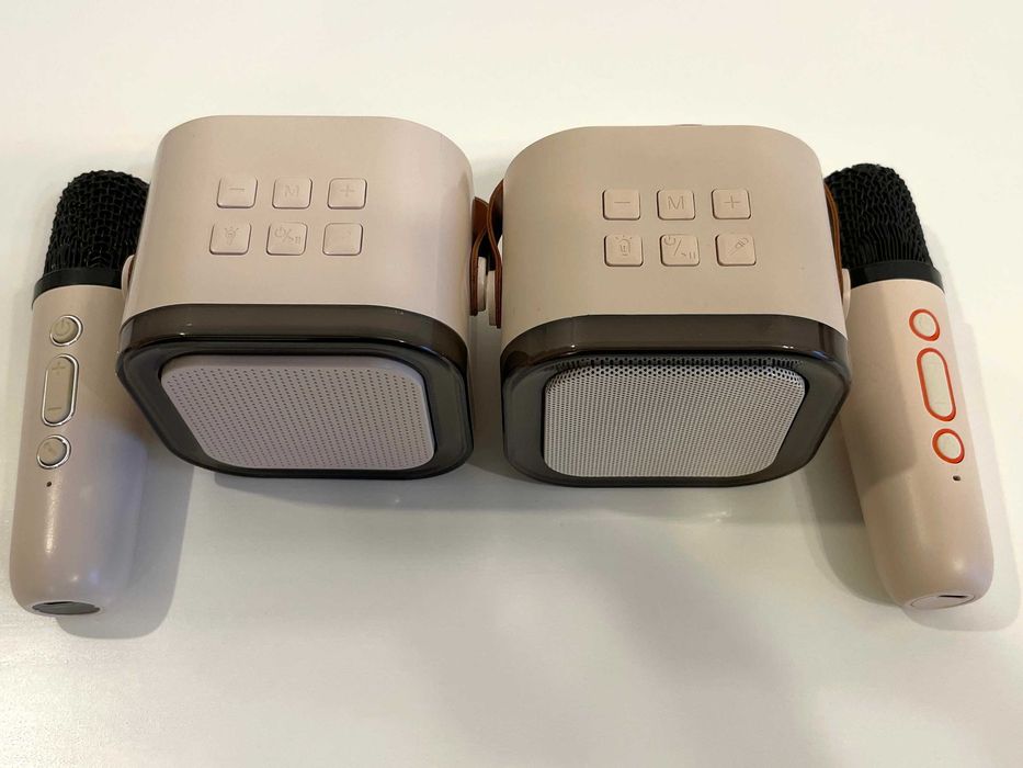 Boxa + microfon pentru karaoke