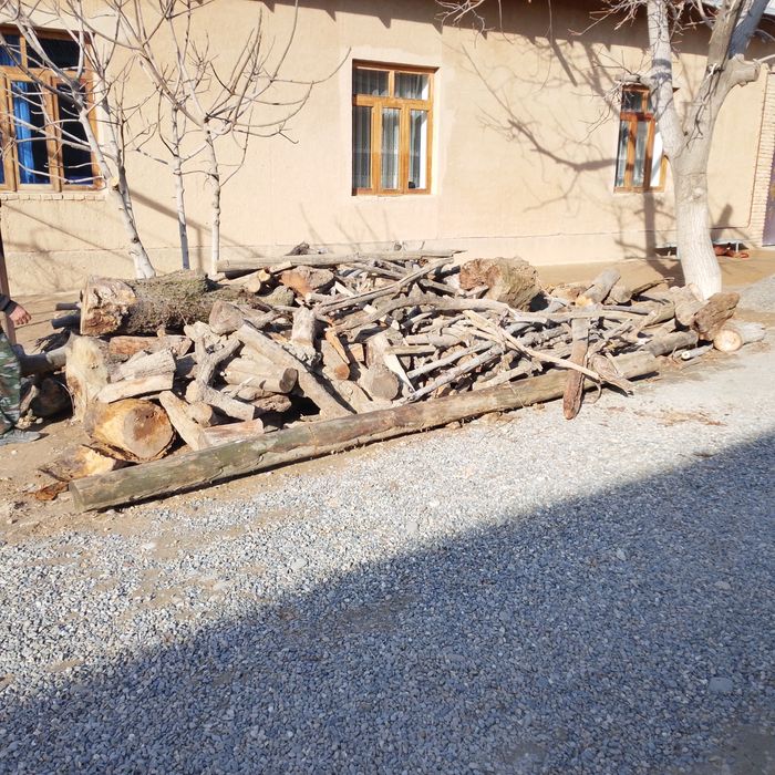 Утин сотаман кунда