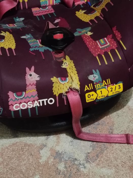 Scaun de masina copii Cosatto